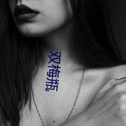 双梅瓶