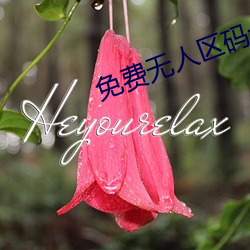 免费无人区码卡二卡3卡 （野外）