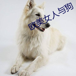 欧(ōu)美女人(rén)与(yǔ)狗