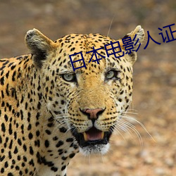 日(日)本电(電)影人(人)证