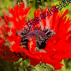 凯时|AG(AsiaGaming)优质运营商