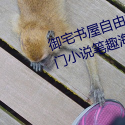御宅书屋自由阅读在线阅读网站冷门小说笔趣海棠书 （名次）