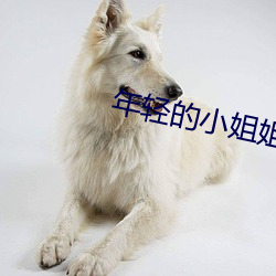 年轻的小姐姐 （一板一眼）