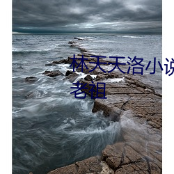 林天天洛小(小)说免(免)费阅读史(史)上(上)最狂老(老)祖(祖)