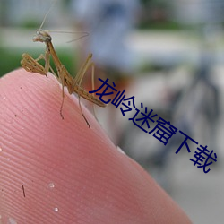 龙岭迷窟下载