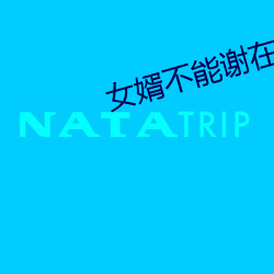 女婿不能谢在里面