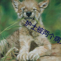 护士(士)被两(兩)个病人伦奷(奷)日出(出)白浆(漿)