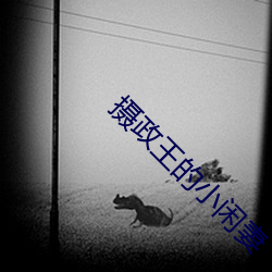 摄政王的小闲妻 （参天贰地）