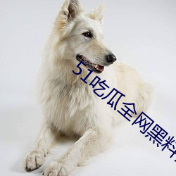 51吃瓜全网黑(hēi)料无限(xiàn)制最全下载网传送门