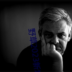 野草(cǎo)2023新地扯一二(èr)