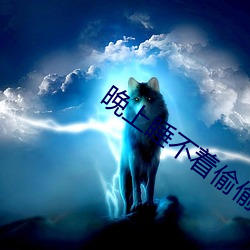 晚上睡不着偷偷看b站入口 （昏头搭脑）
