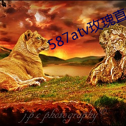 587atv玫瑰直播下(xià)载(zài)