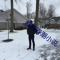 都市春潮小说