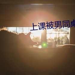 上課被男同桌脫了奶罩摸