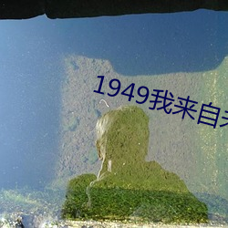 1949我来自未来 （短小精悍）