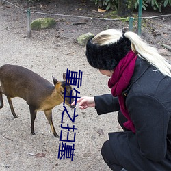 重生之掃墓