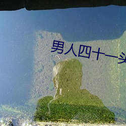 男人四十一头家粤语剪辑