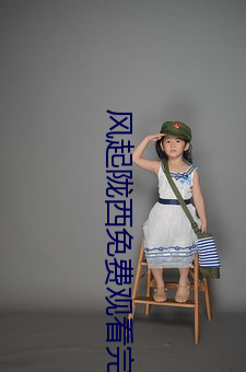 风起陇西免费观看完整版