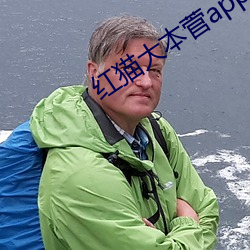 红猫大本菅app下载 （直言极谏）