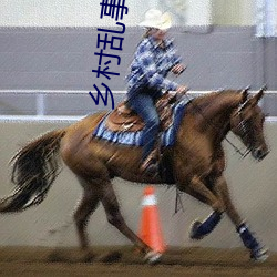 乡村(村)乱事交换17部(部)