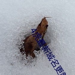 4虎最新域名更新地址