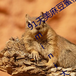 91天美麻豆(dòu)蜜桃糖心星空精东乐播乌鸦(yā)mini大象兔子久久