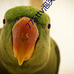 775ttv泡芙直(zhí)播
