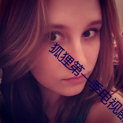 狐狸第一季电视剧免费观看高清