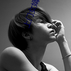上門女婿葉辰小說