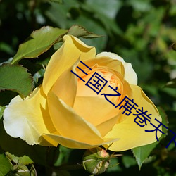 三(sān)国之席卷天(tiān)下