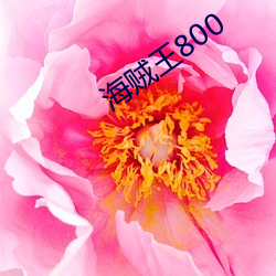 海贼王800