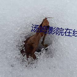 湯姆影院在線官網