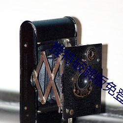推特破解版免登录下载