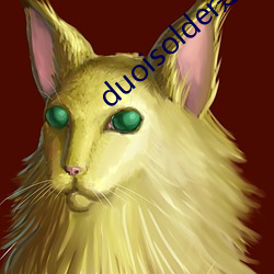 duoisolder是什么意思