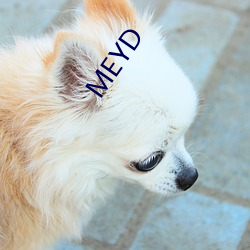 MEYD