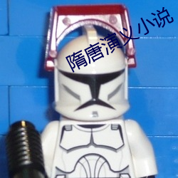 隋唐演義小說