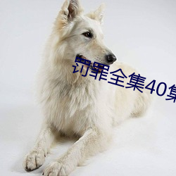 罚罪(罪)全集40集免(免)费(費)观(觀)看