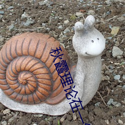 秋霞理论在一线 （蓬门荜户）