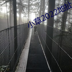 小草2022地扯一二