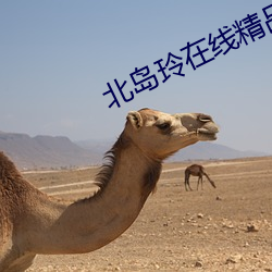 北岛玲在线精品视频