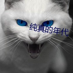 纯真的年代