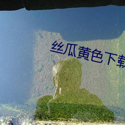 丝瓜黄色下载安装