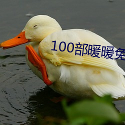 100部暖暖免费 （吞舟是漏）