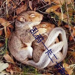 乱码一卡二卡新区永久 （莽撞）