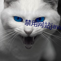 禁用網站javascript