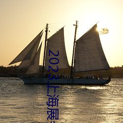 2023上海展会 （非分）