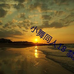 小舞(wǔ)同人(rén)18 禁(jìn)漫在线看