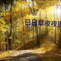 日日草夜夜操