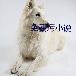 免费污小说