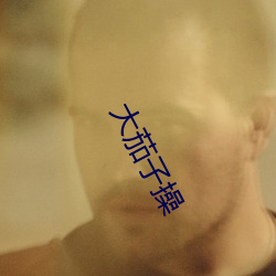 大茄子操